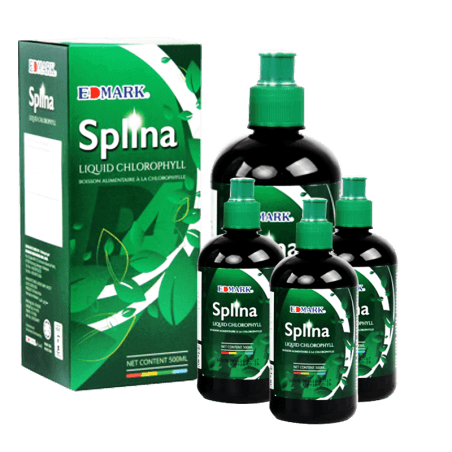 SPLINA
